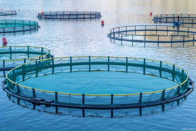 水產(chǎn)養(yǎng)殖專業(yè)考研方向 水產(chǎn)品養(yǎng)殖的深度探索與發(fā)展前景